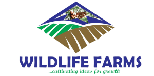 Program Sponsor